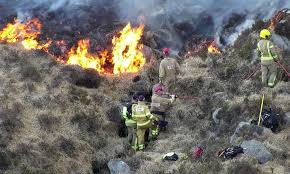 The Climate Emergency & Wildfire Crisis 2025