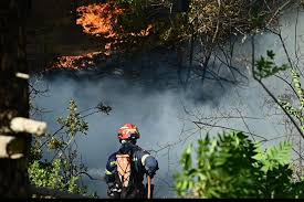 The Climate Emergency & Wildfire Crisis 2025